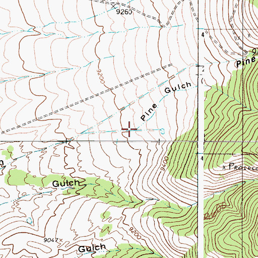 Topographic Map of Pine Gulch, NM