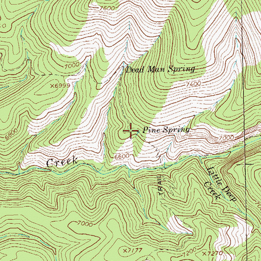 Topographic Map of Pine Spring, NM