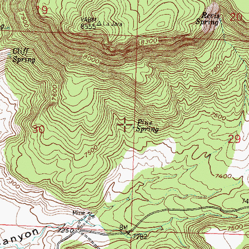 Topographic Map of Pine Spring, NM