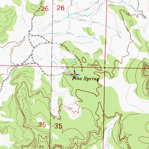 Topographic Map of Pine Spring, NM