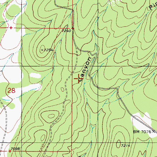 Topographic Map of Pine Spring Canyon, NM
