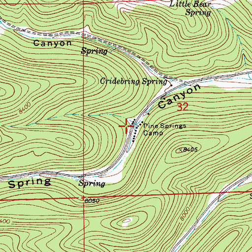 Topographic Map of Pine Springs Camp, NM