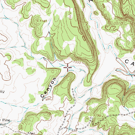 Topographic Map of Pine Springs Canyon, NM