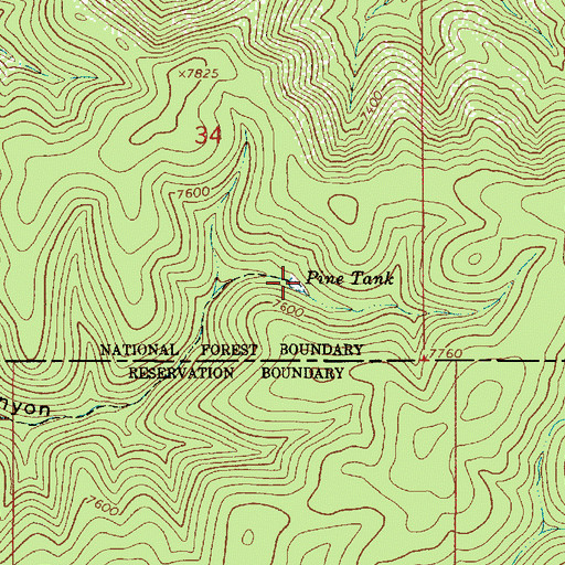 Topographic Map of Pine Tank, NM