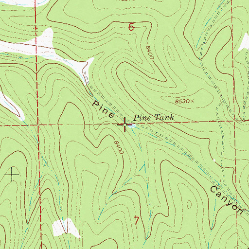 Topographic Map of Pine Tank, NM