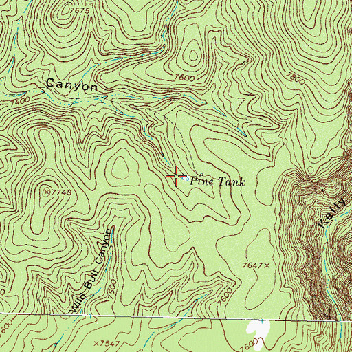 Topographic Map of Pine Tank, NM
