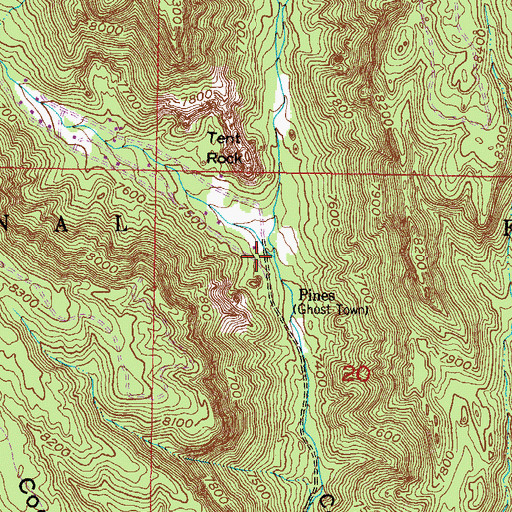 Topographic Map of Pines Canyon, NM