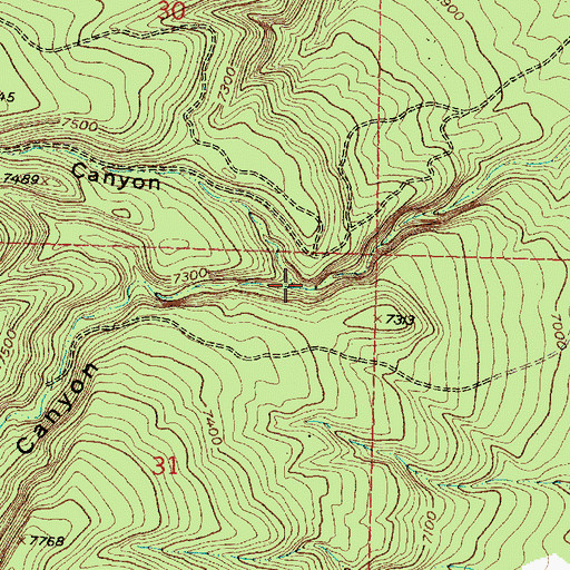 Topographic Map of Pink Rose Canyon, NM