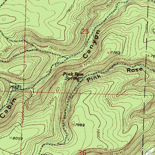 Topographic Map of Pink Rose Spring, NM
