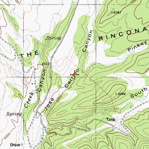 Topographic Map of Pinkey Canyon, NM