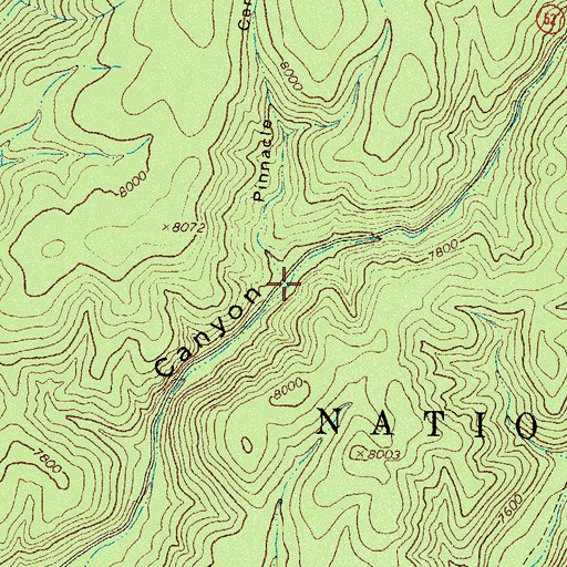 Topographic Map of Pinnacle Canyon, NM