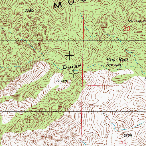 Topographic Map of Pino Real Spring, NM