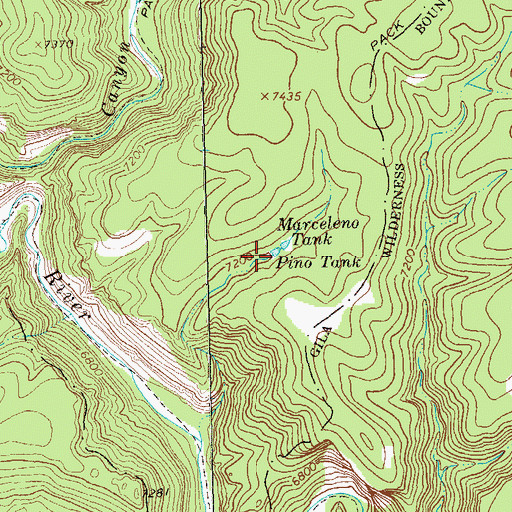 Topographic Map of Pino Tank, NM
