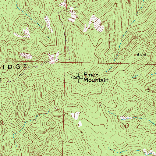 Topographic Map of Pion Mountain, NM
