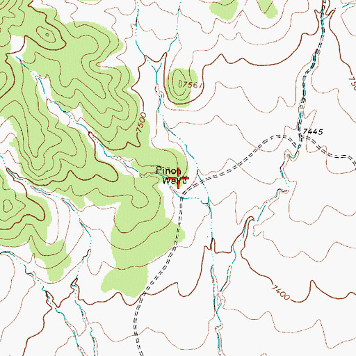 Topographic Map of Pion Well, NM