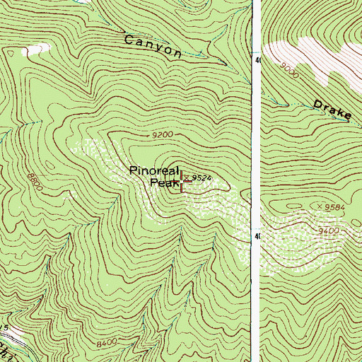 Topographic Map of Pinoreal Peak, NM