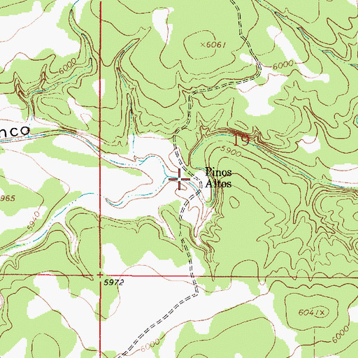 Topographic Map of Pinos Altos, NM