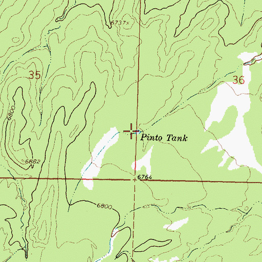 Topographic Map of Pinto Tank, NM