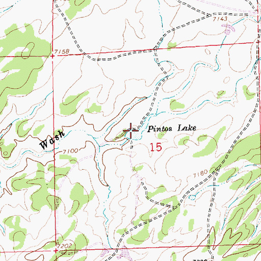Topographic Map of Pinos Lake, NM