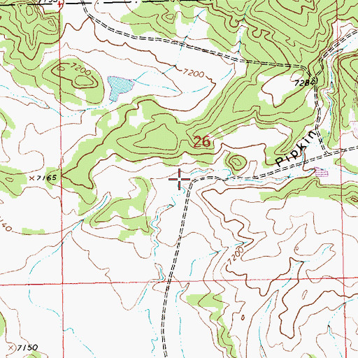 Topographic Map of Pipkin Canyon, NM