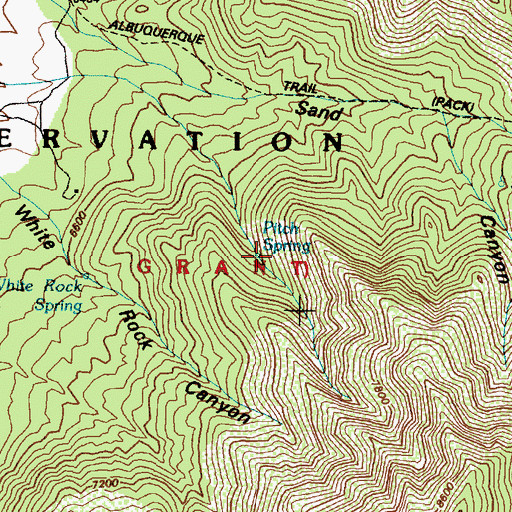 Topographic Map of Pitch Spring, NM