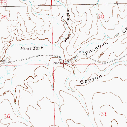 Topographic Map of Pitchfork Canyon, NM