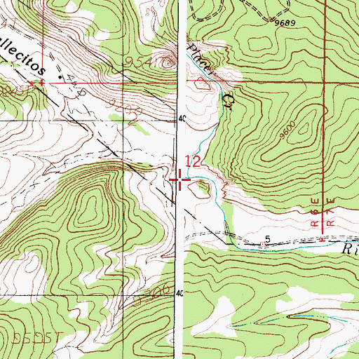 Topographic Map of Placer Creek, NM