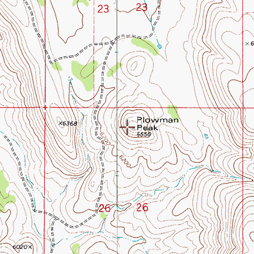 Topographic Map of Plowman Peak, NM