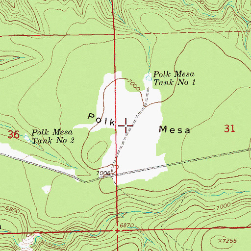 Topographic Map of Polk Mesa, NM