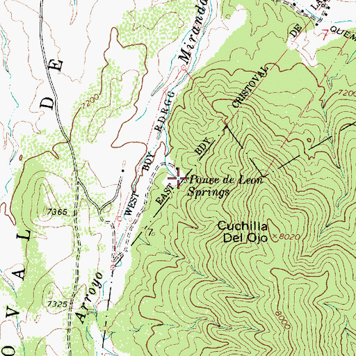 Topographic Map of Ponce de Leon Springs, NM