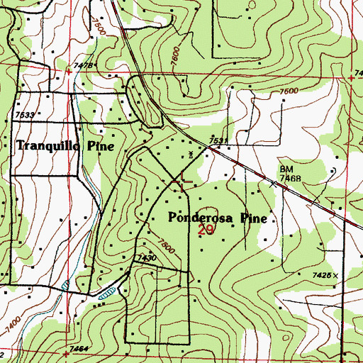 Topographic Map of Ponderosa Pine, NM