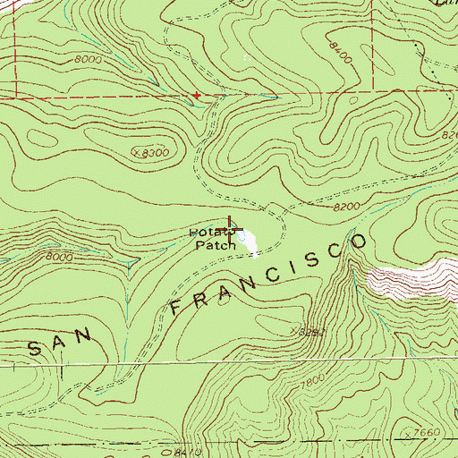 Topographic Map of Potato Patch, NM