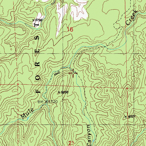 Topographic Map of Pothole Canyon, NM