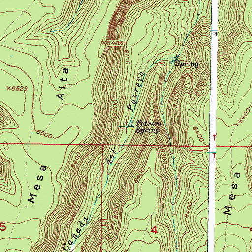 Topographic Map of Potrero Three Spring, NM