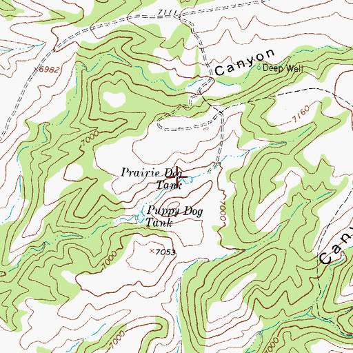 Topographic Map of Prairie Dog Tank, NM