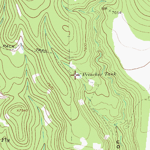 Topographic Map of Preacher Tank, NM