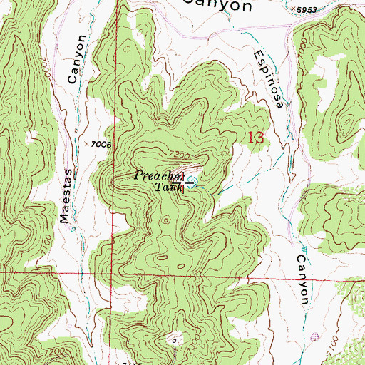 Topographic Map of Preacher Tank, NM