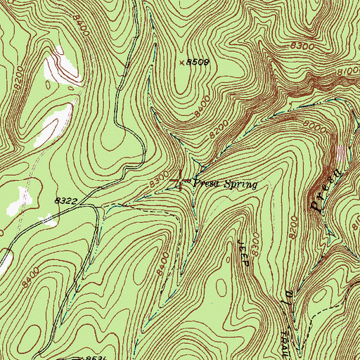Topographic Map of Presa Spring, NM