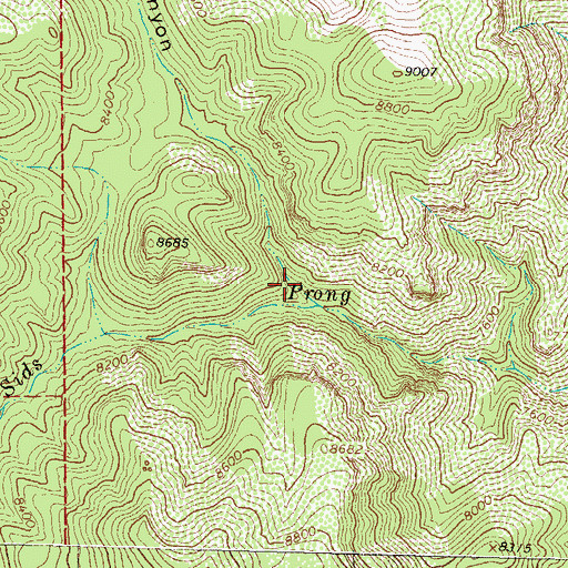 Topographic Map of Pretty Canyon, NM