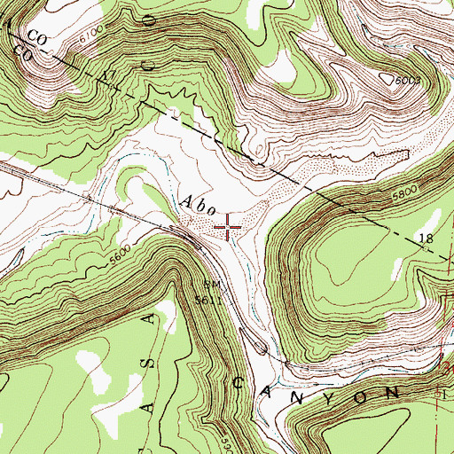 Topographic Map of Priest Canyon, NM