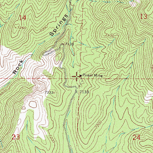 Topographic Map of Priest Mine, NM