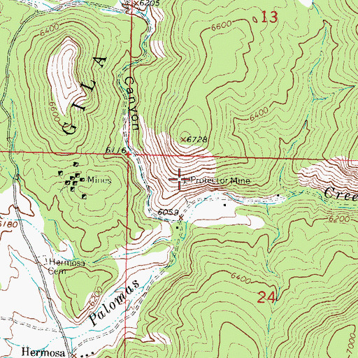 Topographic Map of Protector Mine, NM