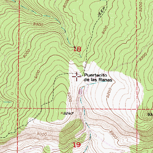 Topographic Map of Puertecito de las Ranas, NM