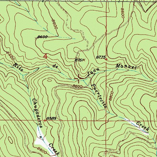 Topographic Map of Puertecito Creek, NM