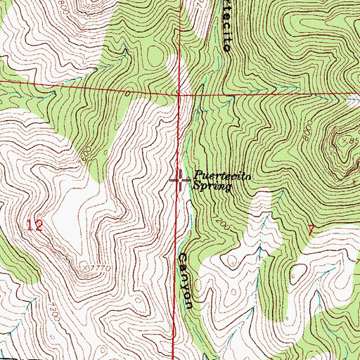 Topographic Map of Puertecito Spring, NM