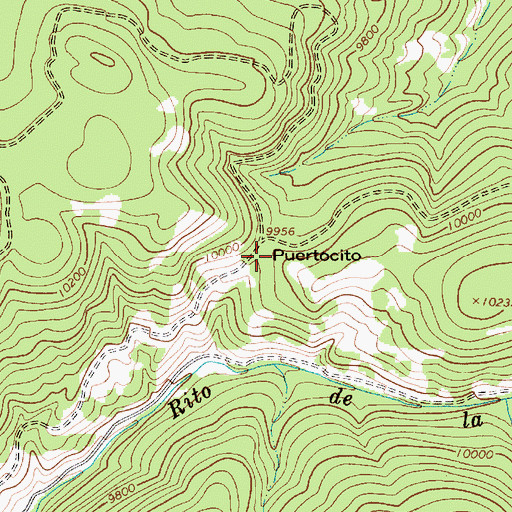 Topographic Map of Puertocito, NM