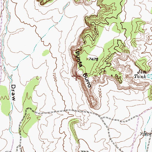 Topographic Map of Punta Burro, NM