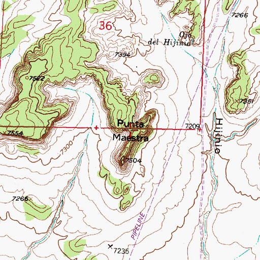 Topographic Map of Punta Maestra, NM