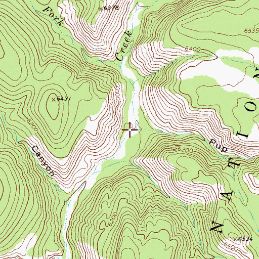 Topographic Map of Pup Canyon, NM