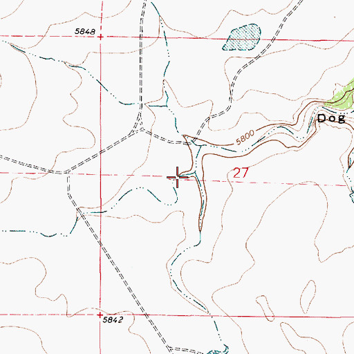 Topographic Map of Pup Canyon, NM